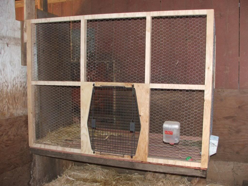 Flemish Giant Rabbit Cage